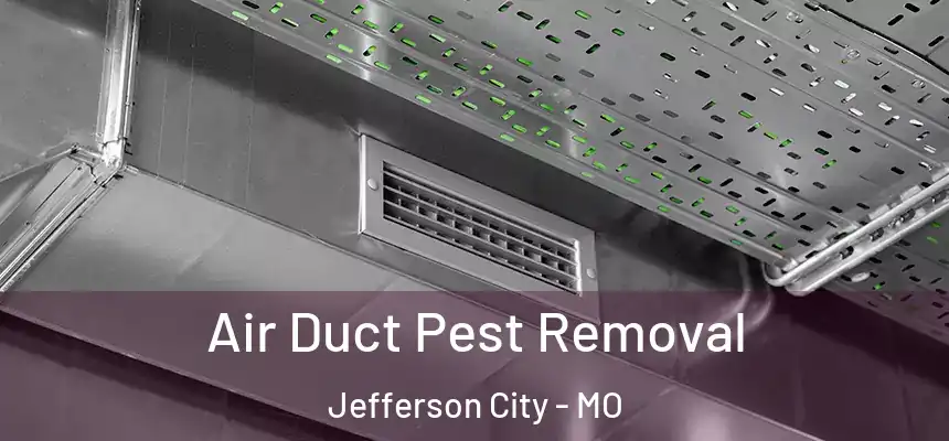  Air Duct Pest Removal Jefferson City - MO