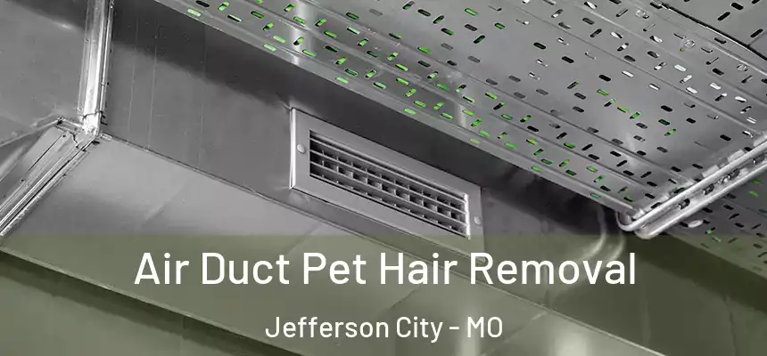  Air Duct Pet Hair Removal Jefferson City - MO