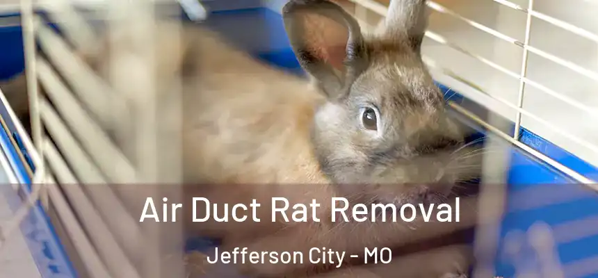  Air Duct Rat Removal Jefferson City - MO