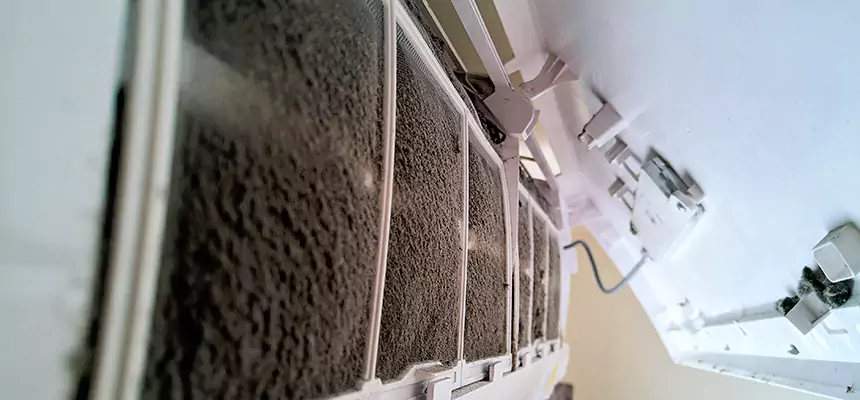 Preventive Air Duct Bacteria Removal in Jefferson City