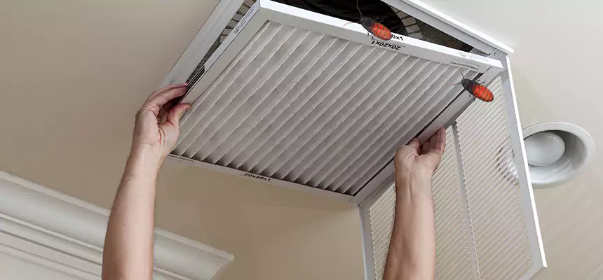 Preventive Cockroach-Proofing for Ducts in Jefferson City