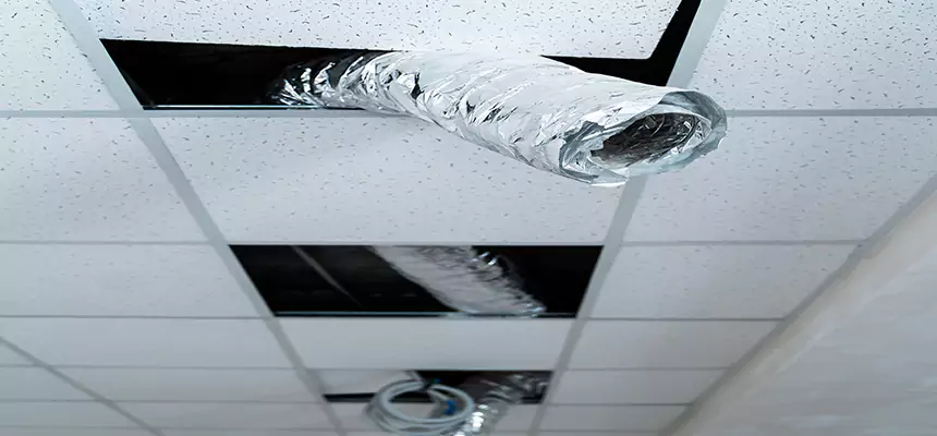 Affordable HVAC Sanitizing After Pest Removal in Jefferson City