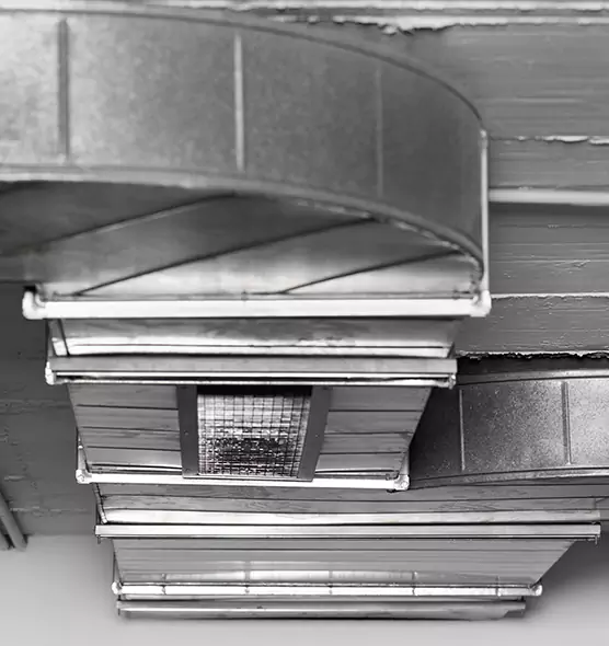 Professional Air Duct Pest Removal in Jefferson City, MO