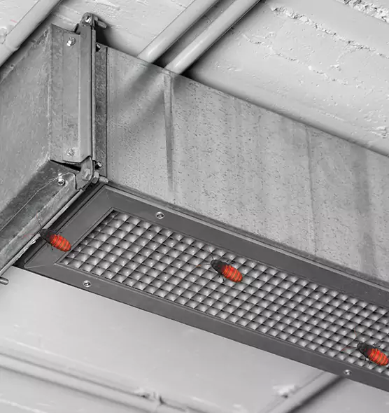 Affordable Insect Removal from Air Ducts in Jefferson City, MO