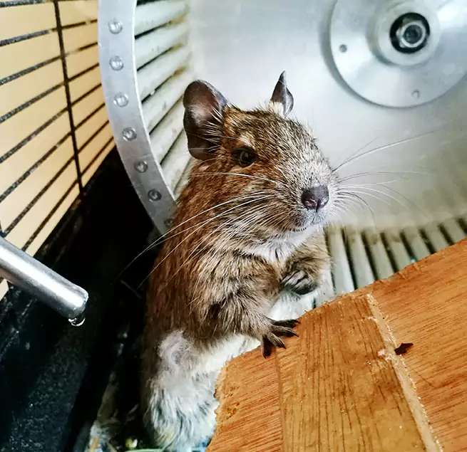 Why Homeowners & Businesses Trust Us Jefferson City, MO?